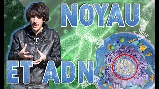 Tous les SECRETS du NOYAU et de lADN B8 [upl. by Eitnom650]