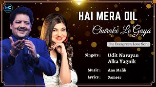 Hai Mera Dil Churake Le Gaya Lyrics  Udit Narayan Alka Yagnik  Aishwarya Rai  90s Hits Songs [upl. by Aidnyc]