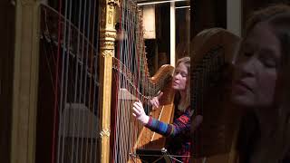 How does this harp sound Erard Harp restored by HarfenbauSchupp harp music harps harpist [upl. by Valli]