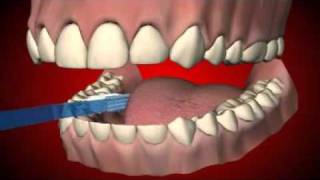 How to brush your teeth Learn in 4 simple steps [upl. by Raskin]