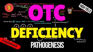 Ornithine Transcarbamylase deficiency Pathogenesis Clinical symptoms Treatment [upl. by Ttessil]