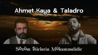 Ahmet Kaya amp Taladro  Sözüm Şiirlerin Mükemmelidir Remix [upl. by Sharon]