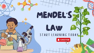 Mendels law For Beginners  Learn Mendels law in easy way [upl. by Nerual966]