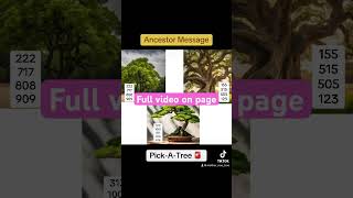 Ancestor Message prophecy ancestorsmessagepickacard 2024 [upl. by Arihsa]