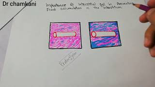 Renal physiology 29  How interstitial gel prevents edema  Medical Physiology Drchamkani [upl. by Kellene]