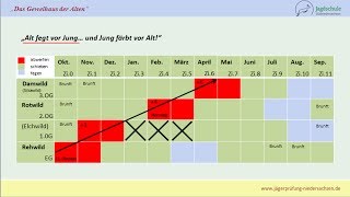 Jägerprüfung Niedersachsen Das Geweihaus der Alten [upl. by Coney]