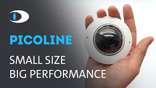 New quotPicolinequot IP Cameras True HDR and BuiltIn VCA with Discreet Appearance  Dallmeier [upl. by Lejna]