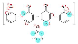 Phenoxide Anion Resonance [upl. by Aleedis]