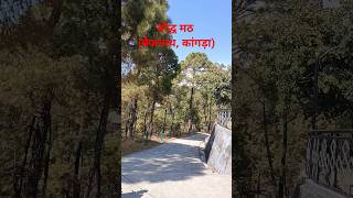 Buddhist monastery।। तिब्बती बौद्ध मठ । बैजनाथकांगड़ा।हिमाचल प्रदेश।bauddha monastery nature [upl. by Asante386]