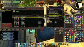 World of Warcraft Addon Watch Auctionator [upl. by Malilliw]