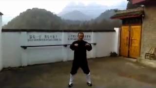 Wudang Taoist Tai Chi 28 Forms [upl. by Haymo]