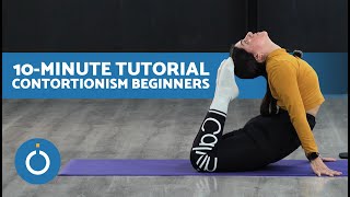 CONTORTIONISM for BEGINNERS 🍬 A Beginners Guide to Contortionism [upl. by Faustena]