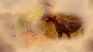 Best Documentaries  The Evolution of Mammals Part 1  Meet the Synapsids [upl. by Ynohtnaeoj169]