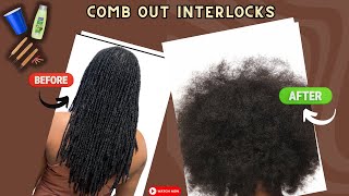 How to Comb out Dreadlocks  Interlocks [upl. by Davison]