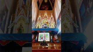 St Thomas Cathedral Irinjalakuda shortsvideo christianprayer powerfullprayer jesusprayer [upl. by Nayllij738]