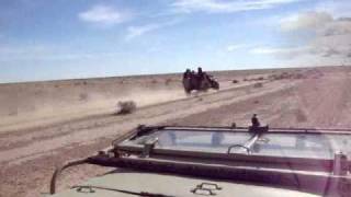 Jeep Safari OULED DJELLAL أولادجلال سفاري [upl. by Aeila]