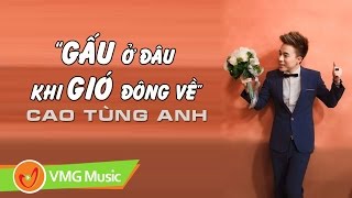 Gấu Ở Đâu Khi Gió Đông Về  CAO TÙNG ANH  Official Audio [upl. by Gherardi]