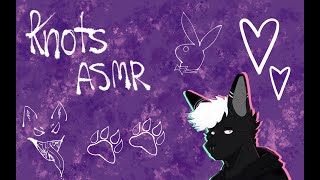 Furry ASMR  Imma rabbit now [upl. by Illib801]