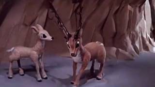 CBS Presents Rudolph The RedNosed Reindeer Preview [upl. by Nahtanaoj]