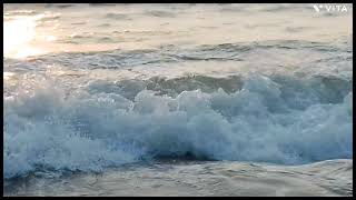 Evening at Cherai beach ചെറായി ബീച്ച് 🤩 [upl. by Noy]