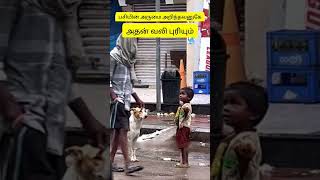 பசியின் அருமை அறிந்தவனுக்கே பசியின் வலி புரியும்shortsfeed shortvideo shortstory [upl. by Nomar]