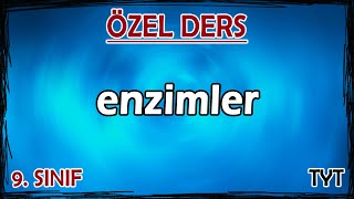 8 Enzimler 1  Özel Ders 9 Sınıf [upl. by Aisemaj]