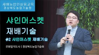 샤인머스켓 재배기술2편  샤인머스켓 재배기술 [upl. by Eenobe]