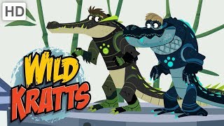 Wild Kratts 🐊 Alligators vs Crocodiles  Kids Videos [upl. by Tallbot921]