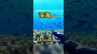 最深的大海到底有多深？ 冷知識 科普 深海探索 海底資源 礦物開發 深海秘密 深海礦藏 海洋生態 科技創新 能源危機 甲烷水合物 深海礦物 全球資源 [upl. by Boycey]