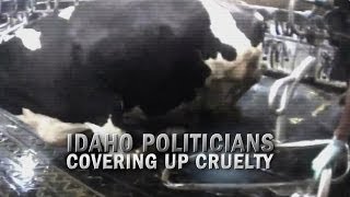 Idaho AgGag Commercial [upl. by Horton951]