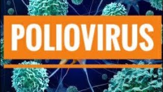 Poliovirus Poliomyelitis [upl. by Lanahtan149]