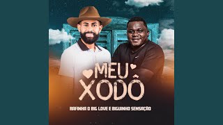 Meu Xodó [upl. by Eppesiug]