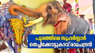 Thechikkottukavu Ramachandran പൂരത്തിലെ സൂപ്പർസ്റ്റാർ  Thrissur Pooram 2023 [upl. by Llyrehc]