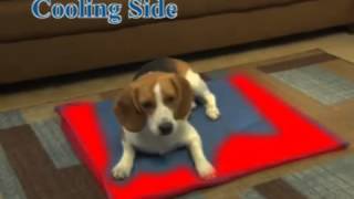 Perfect Pet Mat As Seen on TV [upl. by Tomlinson569]