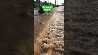 Gollaprolu TOLLGATE FLOOD pithapuram [upl. by Ehpotsirhc371]