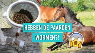 Hebben alle paarden WORMEN  Mestonderzoek [upl. by Ahsats]