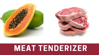 How to Use Papaya to Tenderize Meat  The Frugal Chef [upl. by Rape407]