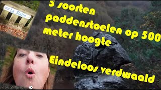 500 Meter Hoog Vijf Soorten Paddenstoelen en Eindeloos Verdwaald [upl. by Varion]