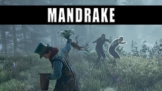 Hogwarts Legacy how to grow Mandrake [upl. by Adlig610]