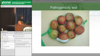 Management of Post Harvest Diseases of Tree Fruits and Grapes [upl. by Scholem]