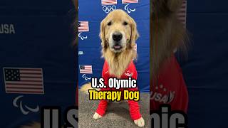 Meet Beacon The Therapy Dog Who Boosted the US Olympic Gymnastics Team parisolympics2024 dog [upl. by Aver745]