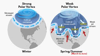 Polar Vortex  How its formed amp When it is dangerous  Indepth Explained [upl. by Coffeng]