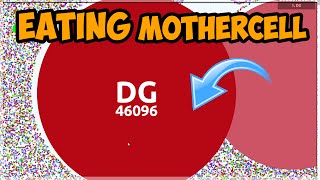 WORLD RECORD LARGEST MOTHERCELL  AGARIO PRO PLAYS [upl. by Aicnetroh]