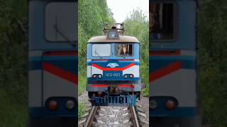 Train ane bali hai jaldi ana youtubeshorts shorts youtube train [upl. by Ayidah938]