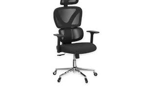 Sytas Ergonomic Office Chair Review Canada [upl. by Ahsienroc]