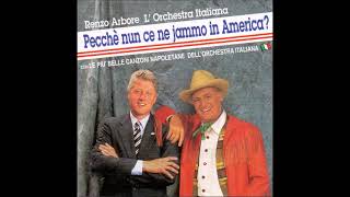 RENZO ARBORE E L’ORCHESTRA ITALIANA – Pecché Nun Ce Ne Jammo In America 1996 FULL ALBUM [upl. by Yemiaj]