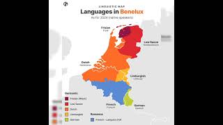 Languages of Benelux Countries map belgium netherlands europe language youtubeshorts [upl. by Braeunig]