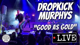 Dropkick Murphys quotGood As Goldquot LIVE in Boston St Patricks Week [upl. by Englebert]