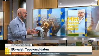 Toppkandidatintervju Charlie Weimers SD  TV4 Nyhetsmorgon [upl. by Henley712]