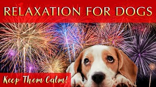 Calming Music for Dogs During Fireworks 🧨 Keep Them Calm [upl. by Asillam]